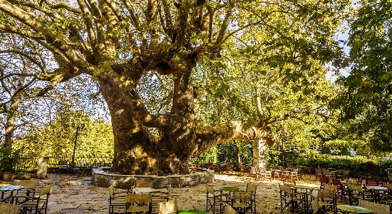 Επιστημονική συνάντηση για τα μνημεία και κειμήλια